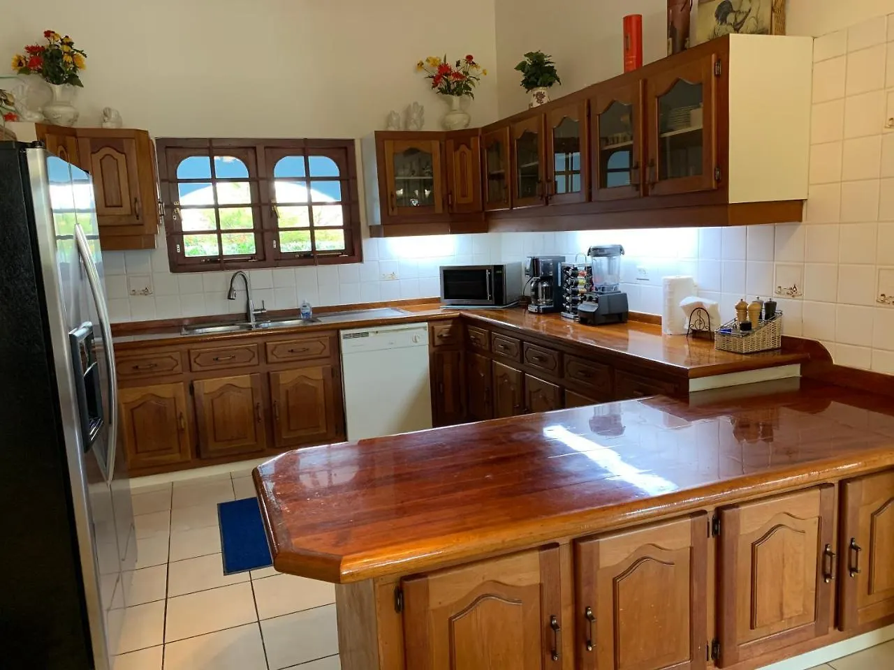 A Beautiful Aruba Salina Cerca Villa Palm Beach